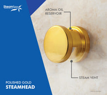 Load image into Gallery viewer, SteamSpa Royal QuickStart Acu-Steam Bath Generator Package in Polished Gold